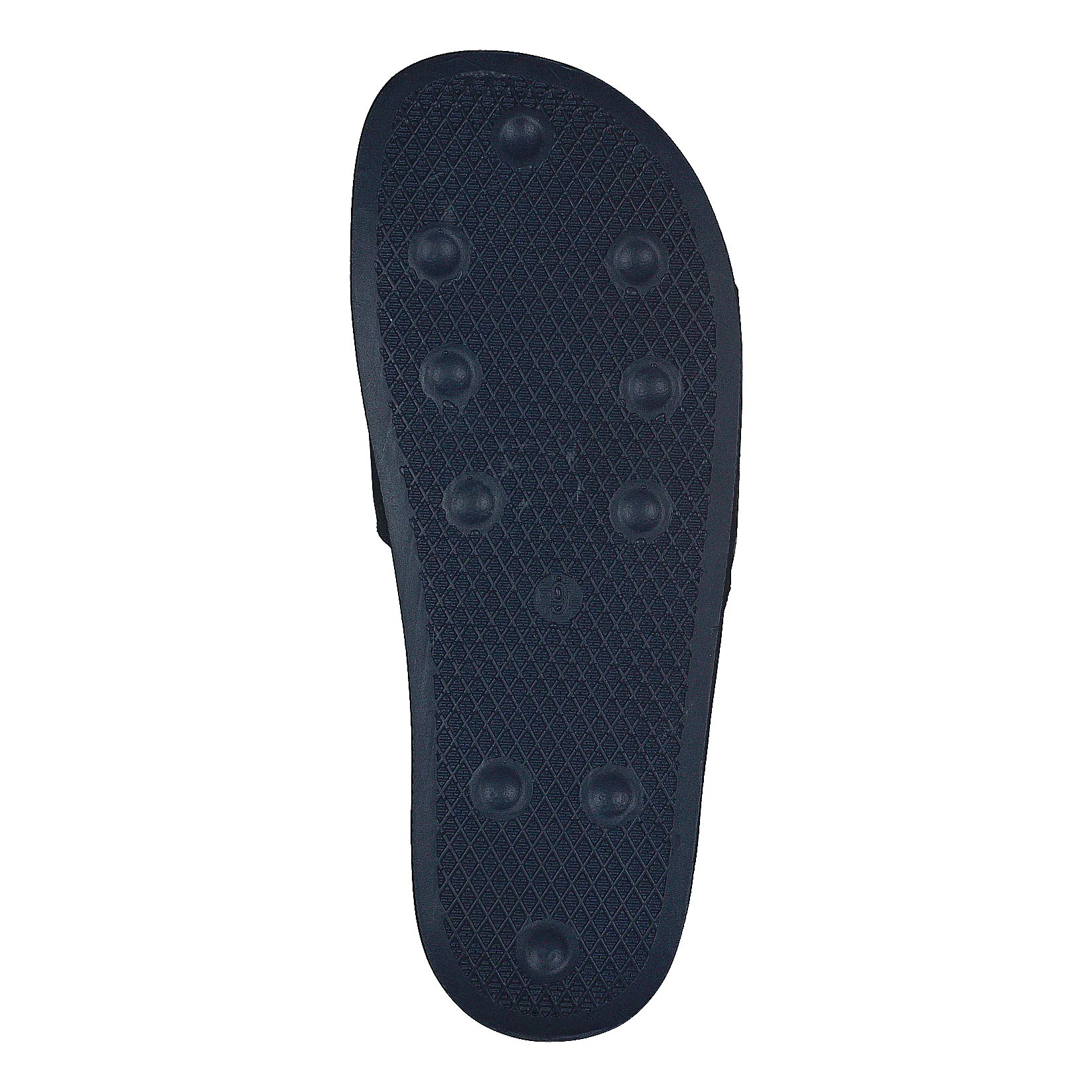 Alex Insect Navy