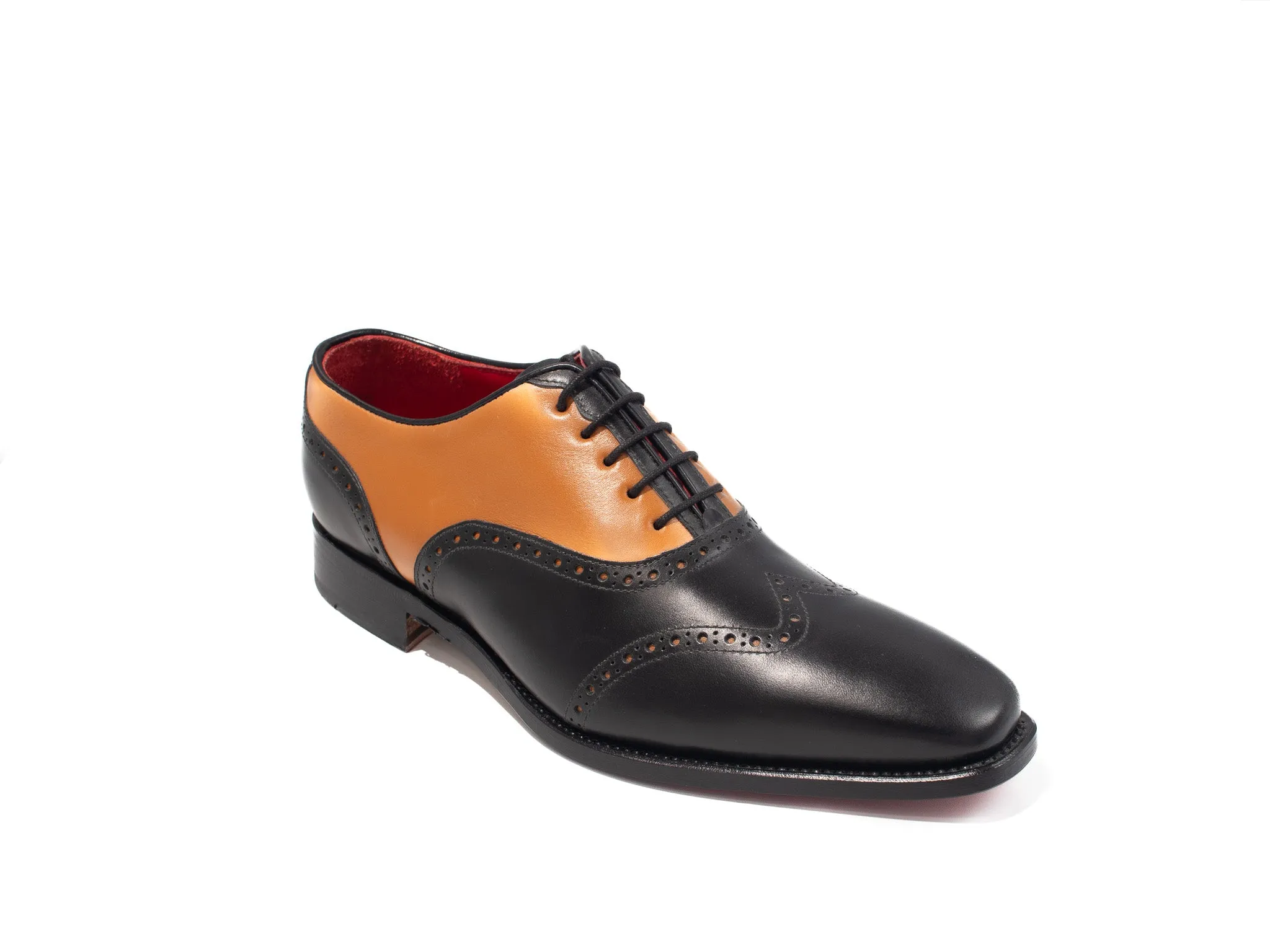 Zanni Two Tone Wing Tip