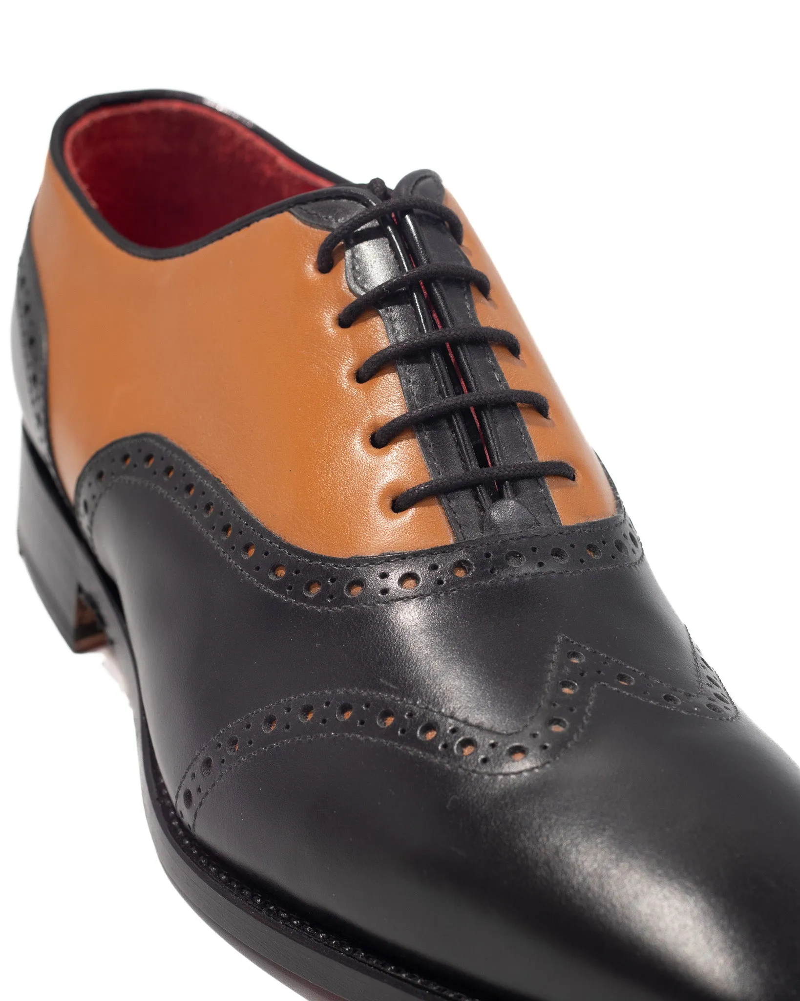 Zanni Two Tone Wing Tip