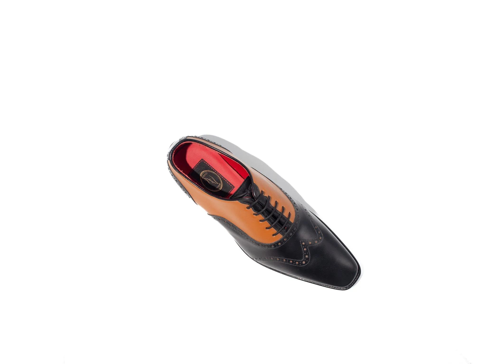 Zanni Two Tone Wing Tip