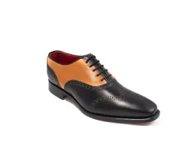 Zanni Two Tone Wing Tip